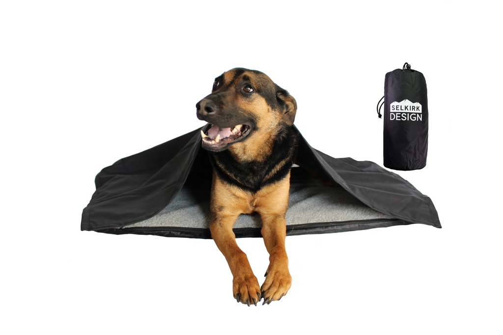 Dog bed with clearance blanket